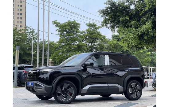 Leopard 3 Ultra 4 WD Black